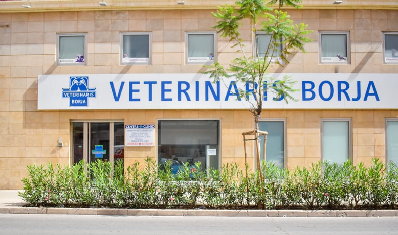 VETERINARIS BORJA - TORRENT